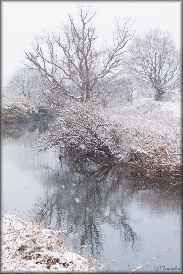 Snow Landscape